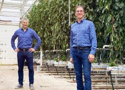 Louis Brun (à gauche), président-directeur général de Sollum Technologies, et Jacques Demers, président-directeur général des Productions horticoles Demers. Photo : Sollum Technologies