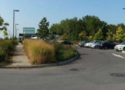La nouvelle réglementation de Saint-Laurent en matière de stationnement prévoit une augmentation des espaces végétalisés et une réduction du nombre de cases. Photo : Arrondissement Saint-Laurent