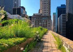 Infrastructures résilientes aux changements climatiques : un financement fédéral de 46,7 M$ annoncé