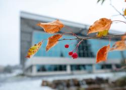 L’Université de Sherbrooke obtient la première position mondiale au classement international STARS de l’AASHE. Crédit : Michel Caron - UdeS 