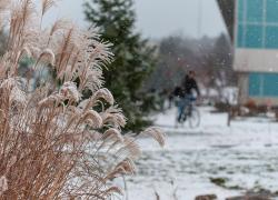 L’Université de Sherbrooke (UdeS) se positionne au premier rang canadien au UI GreenMetric World University Ranking 2022.  Crédit : Michel Caron