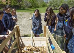 Projet d’agriculture urbaine au Collège Villa Maria 